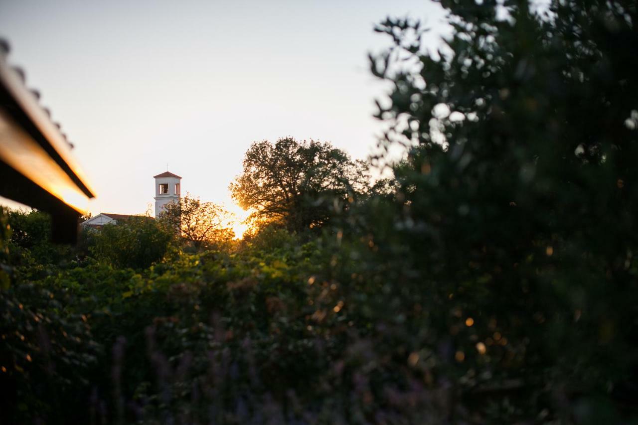 Holiday Home Antonio Dracevac Ninski Dış mekan fotoğraf